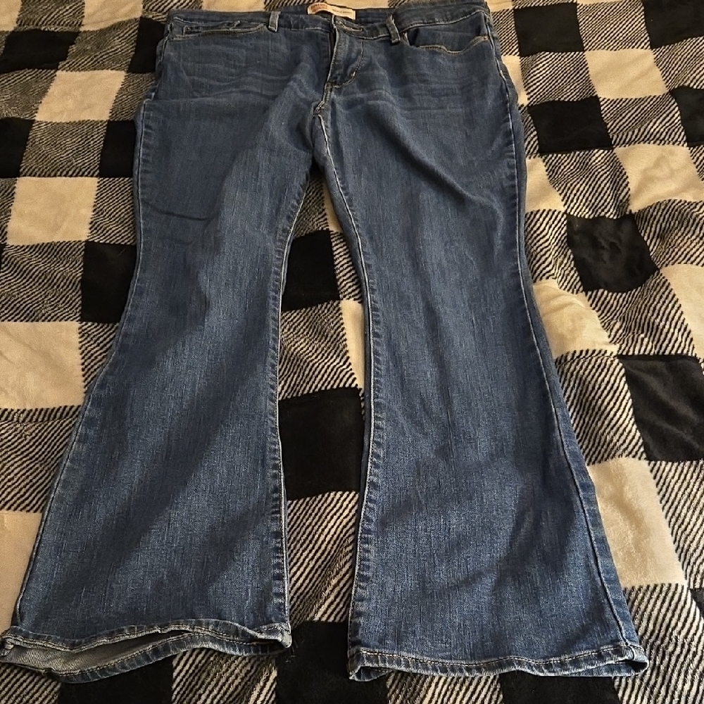Signature by Levi Strauss Blue Flare Jeans
